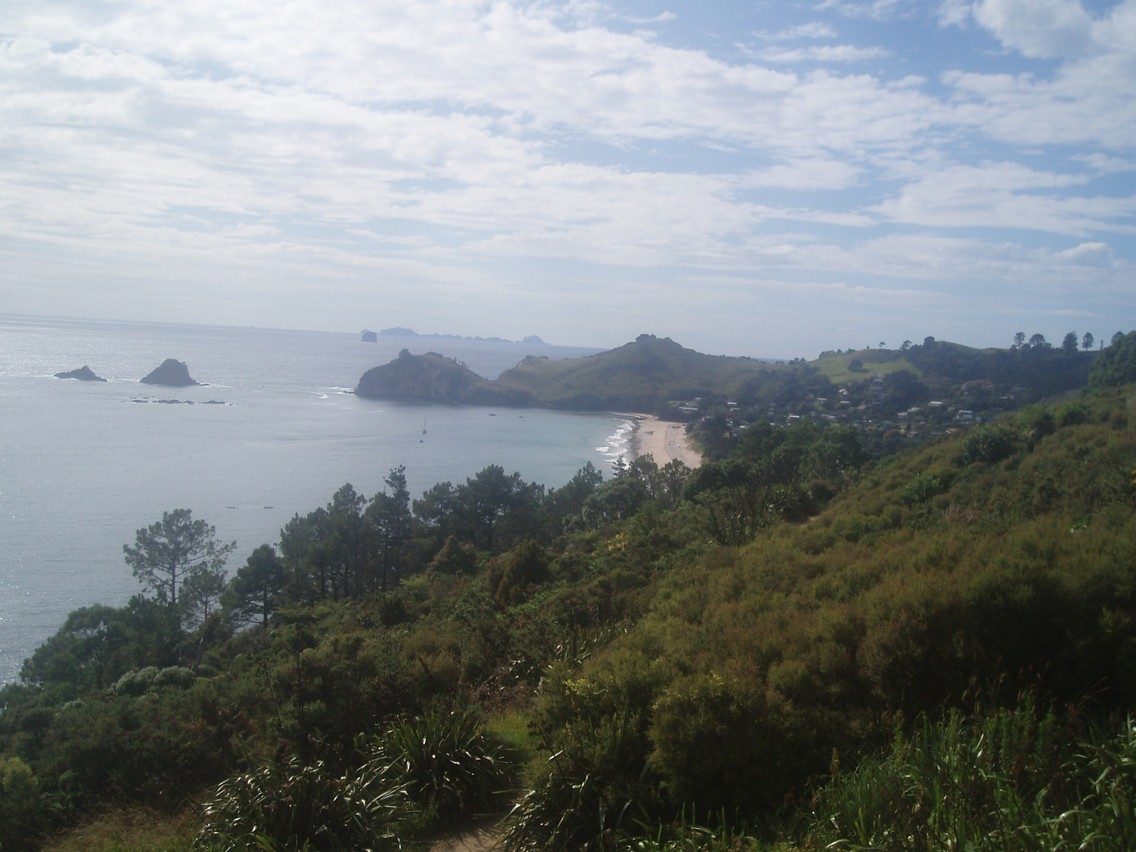432   06 02   Coromandel   Cathedral Cove